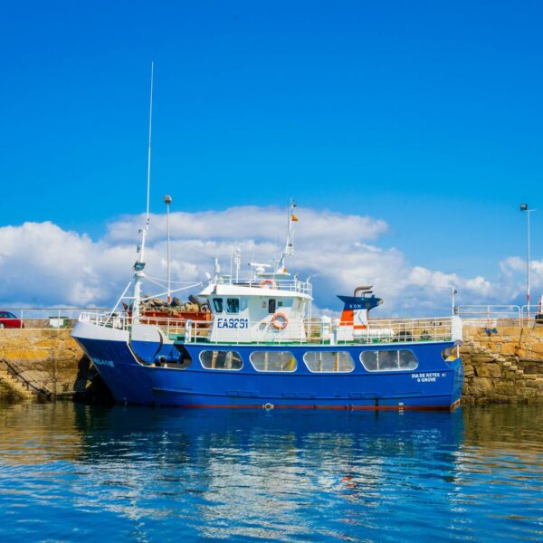 Excursión Rías Baixas desde Santiago de Compostela O Grove