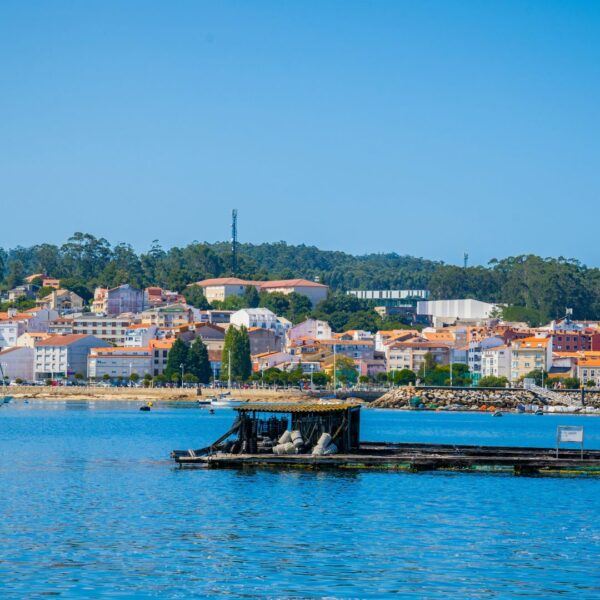 Excursión Rías Baixas desde Santiago de Compostela Visita O Grove