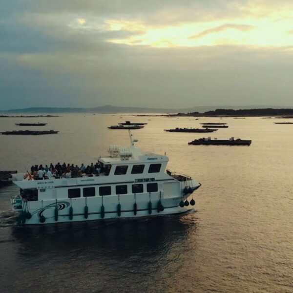 Excursión a Rías Baixas desde Santiago de Compostela con paseo en barco
