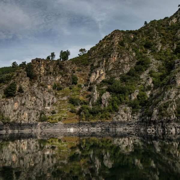 Excursión a Ribeira Sacra desde Santiago de Compostela naturaleza