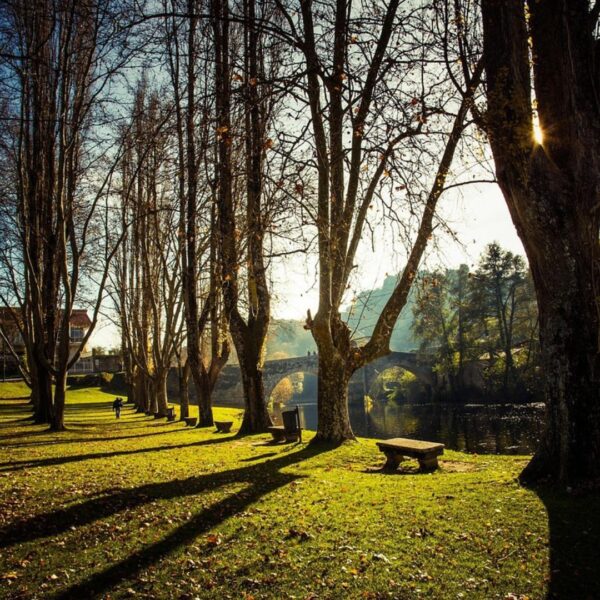 Excursión a Ribeira Sacra desde Santiago de Compostela naturaleza Allariz