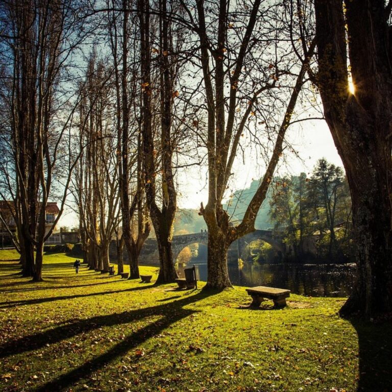 Excursión a Ribeira Sacra desde Santiago de Compostela naturaleza Allariz
