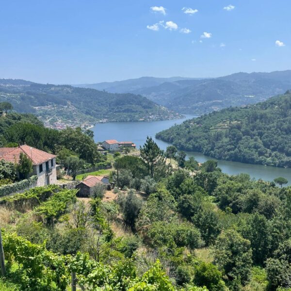 Excursión a Ribeira Sacra desde Santiago de Compostela vistas
